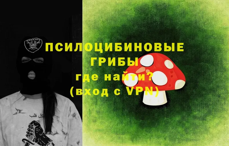 где можно купить   Весьегонск  Псилоцибиновые грибы Psilocybine cubensis 